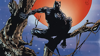 Black Guy Magic? Black Panther Scores First Midterm Election Victory: Elected Leader of the Avengers<em></em><em></em>